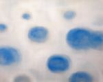 blue2.jpg