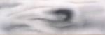 sumi3.jpg