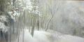 snowpart1.jpg